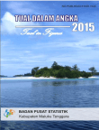 Kota Tual Dalam Angka 2015